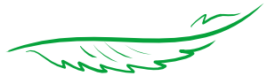 CANNALSA