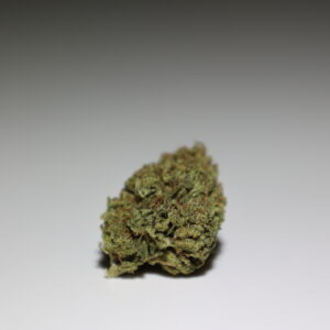 fleur Gelato cannalsa