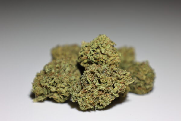 fleur Gelato cannalsa