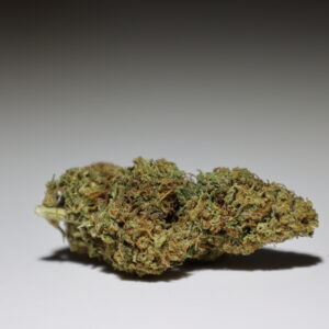 Fleurs Gorila Girl Cannalsa