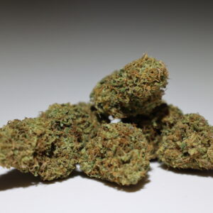 Fleurs Gorila Girl Cannalsa