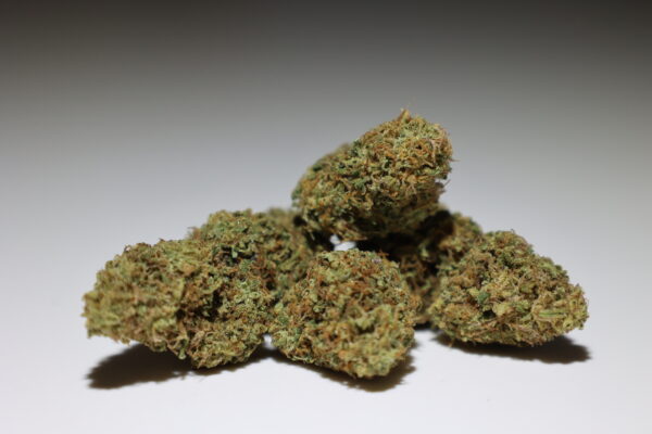 Fleurs Gorila Girl Cannalsa