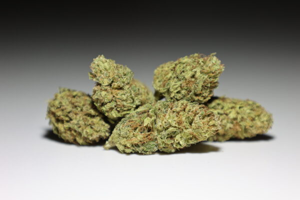 White Mountain – Image 2