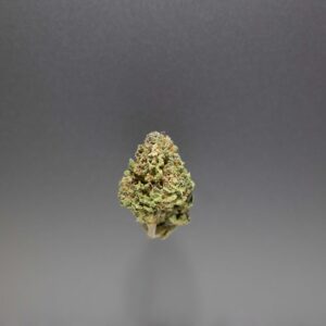 fleurs cbd blueberry muffin cannalsa