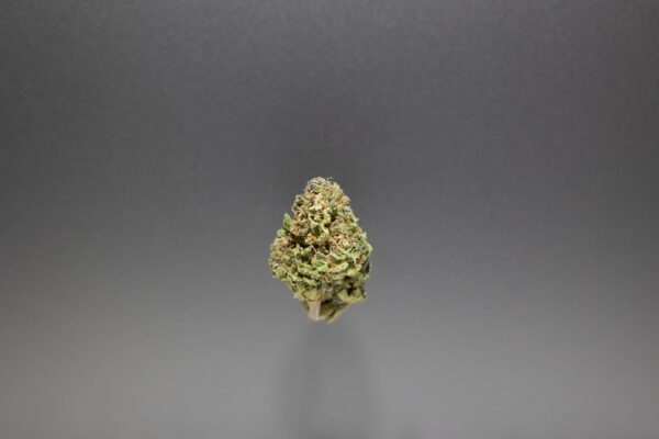 fleurs cbd blueberry muffin cannalsa