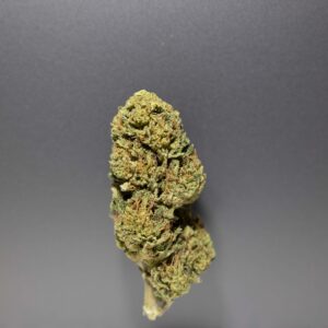 fleurs cbd acdc cannalsa