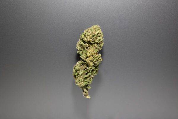 fleurs cbd harley tsu cannasla