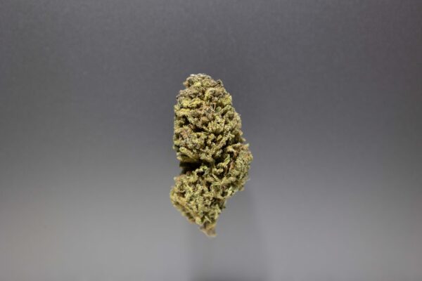 fleurs cbd limoncello cannalsa