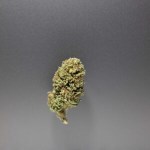 fleurs cbd thérapy cannalsa
