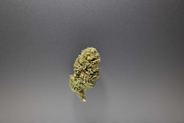 fleurs cbd thérapy cannalsa