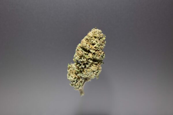 fleurs cbd cbg cannalsa