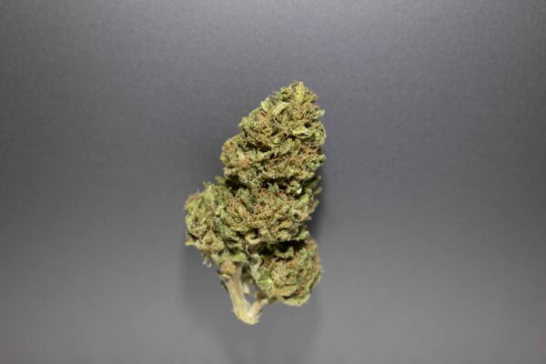 fleurs cbd classic cannalsa