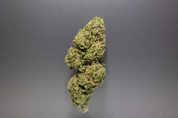 fleur cbd elcapo cannalsa