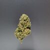 fleurs cbd shiva cannalsa