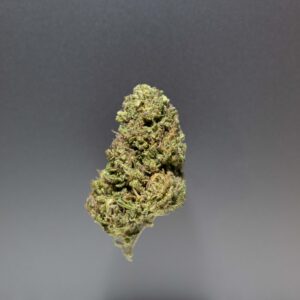 fleurs cbd shiva cannalsa