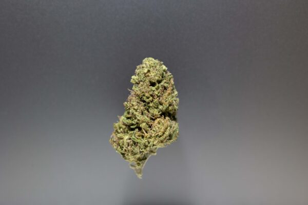 fleurs cbd shiva cannalsa